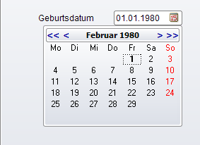 Das Eintragen des Geburtsdatums kann manuell durch Tastatur oder durch einen kleinen Kalender erfolgen.