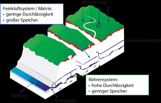 Karstgrundwasserleiter Der Grundwasserleiter im Untersuchungsgebiet ist hydrogeologisch von besonderem Interesse, da es sich um einen Karstgrundwasserleiter handelt.