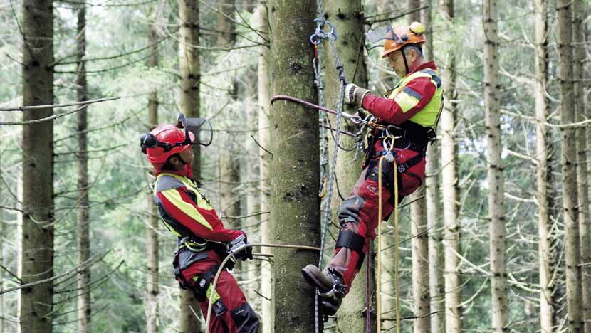 Forstliche Praxiskurse und -seminare Baumsteigen und Bergetechnik Ob beim Bau von Stützen für Seilnutzungen, bei der Samenernte, der Entnahme von Nadelproben an stehenden Bäumen oder bei der