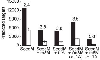 Neuerungen Verbesserungen man kann beobachten, dass mirna targets manchmal nicht über die 8nt lange center Sequenz des seed match hinaus
