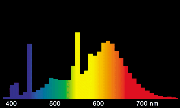 Von den strahlungsphysikalischen Größen zu den lichttechnischen Größen 780nm K m