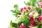 salate zum selber basteln Fräulein Strawberry Blattsalat mit Rucola, Erdbeeren, Mozzarella und Pinienkernen mit Balsamicodressing 6,80 Mr.