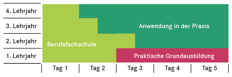 beinhaltet: 3-4 Tage praktische Arbeit im Lehrbetrieb 1-2 Tage Theorie in