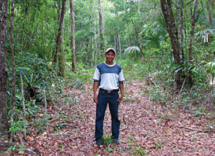 000ha) im Inneren des Maya Biosphärenreservats.