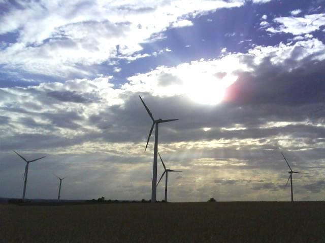 Erneuerbare-Energien-Projekte der Enovos Deutschland AG Windparks Meckel/Gilzem Standort: Eifel, zw.
