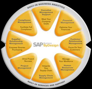 SAP Business