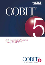 Self-assessment Guide: Using COBIT 5 stand-alone -Publikation, die von Unternehmen genutzt werden kann, um