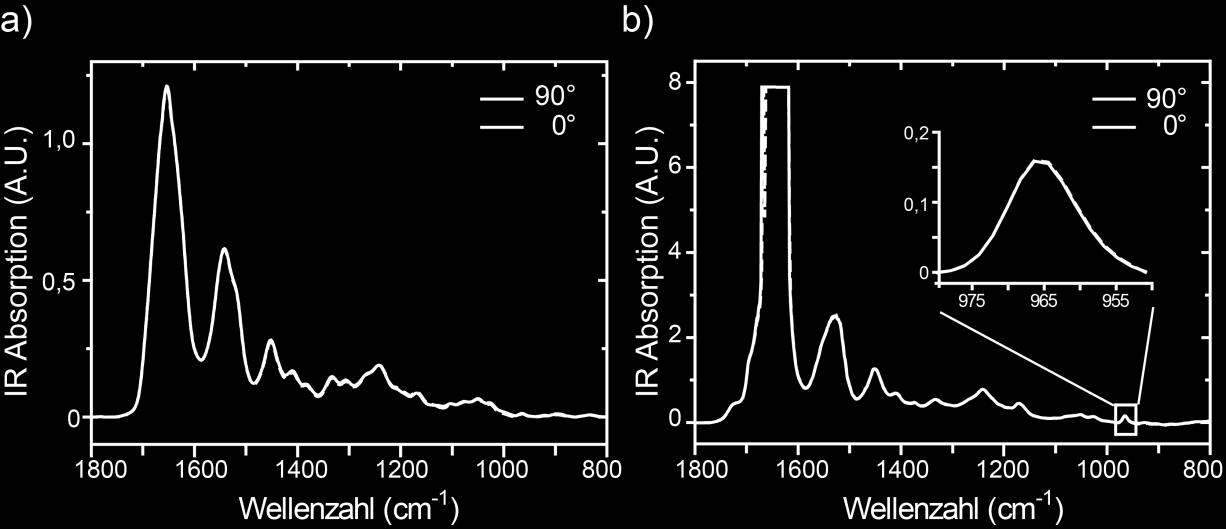 Ergebnisse Abb. 3.11: FTIR-Spektren von eadf4(c16) Filmen gegossen aus wässriger Pufferlösung (wl) ohne Nachbehandlung (a) und aus Ameisensäure mit Methanol abs.-nachbehandlung (b).