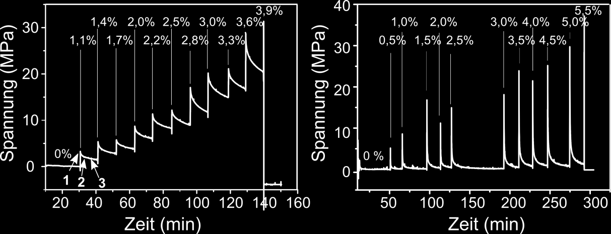 Ergebnisse Abb. 3.12: Auftretende Spannung bei schrittweiser Dehnung von eadf4(c16)-filmen im zeitlichen Verlauf.