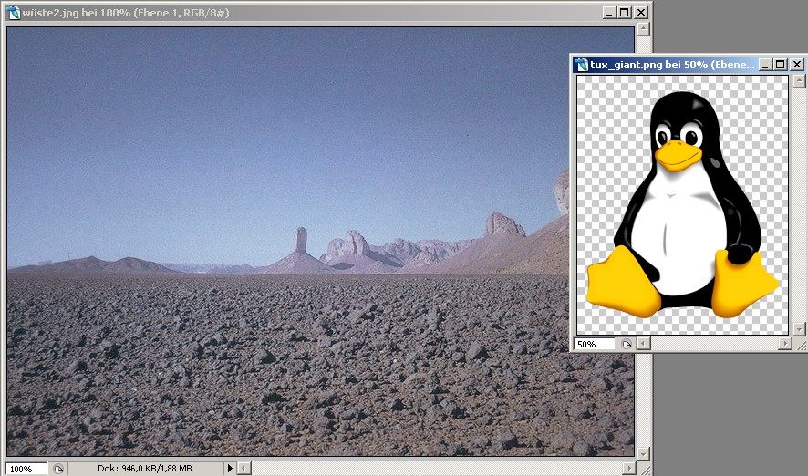Bild freistellen und in anderes Bild kopieren Ausgangssituation Pinguin soll in die Wüste kopiert werden 1.