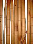 F Bambus Objekte & Accessoires Pos. 7.