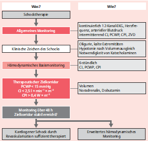 Therapiemonitoring beim kardiogenen Schock