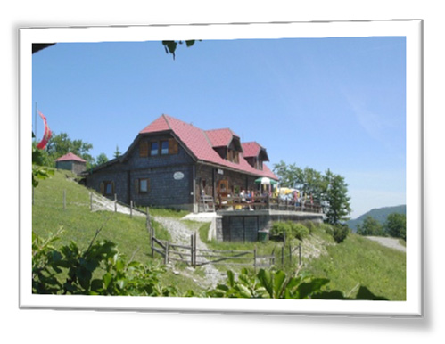 Traisner Hütte 1.313 m Kloster Hinteralpe (Gutensteiner Alpen) Besuchen Sie unsere Webcam! Adresse Hinteralm 1, 3180 Lilienfeld T 02762/53571 (Hütte) T 02762/62654 (Hüttenwart) www.traisnerhuette.