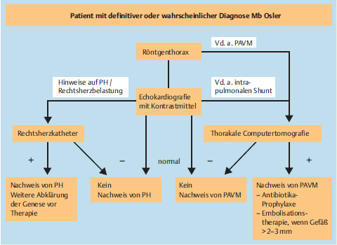 28 Beteiligungen der pulmonalen Zirkulation in Form von pulmonalen arteriovenösen Malformationen (PAVM) sind mit 15-30 % der HHT Patienten häufig anzutreffen.