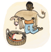 Kérékou hat zu seiner Geburt ein Kälbchen geschenkt bekommen. Das ist Brauch bei seinem Stamm in Benin. Gedeiht das Tier, ist das ein Vorzeichen, dass Kérékou einmal ein guter Hirte sein wird.