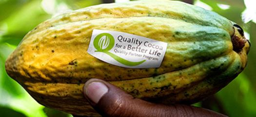 Langfristige Partnerschaft mit Kakaobauern: Quality Partner Program (QPP) www.qualitypartnerprogram.
