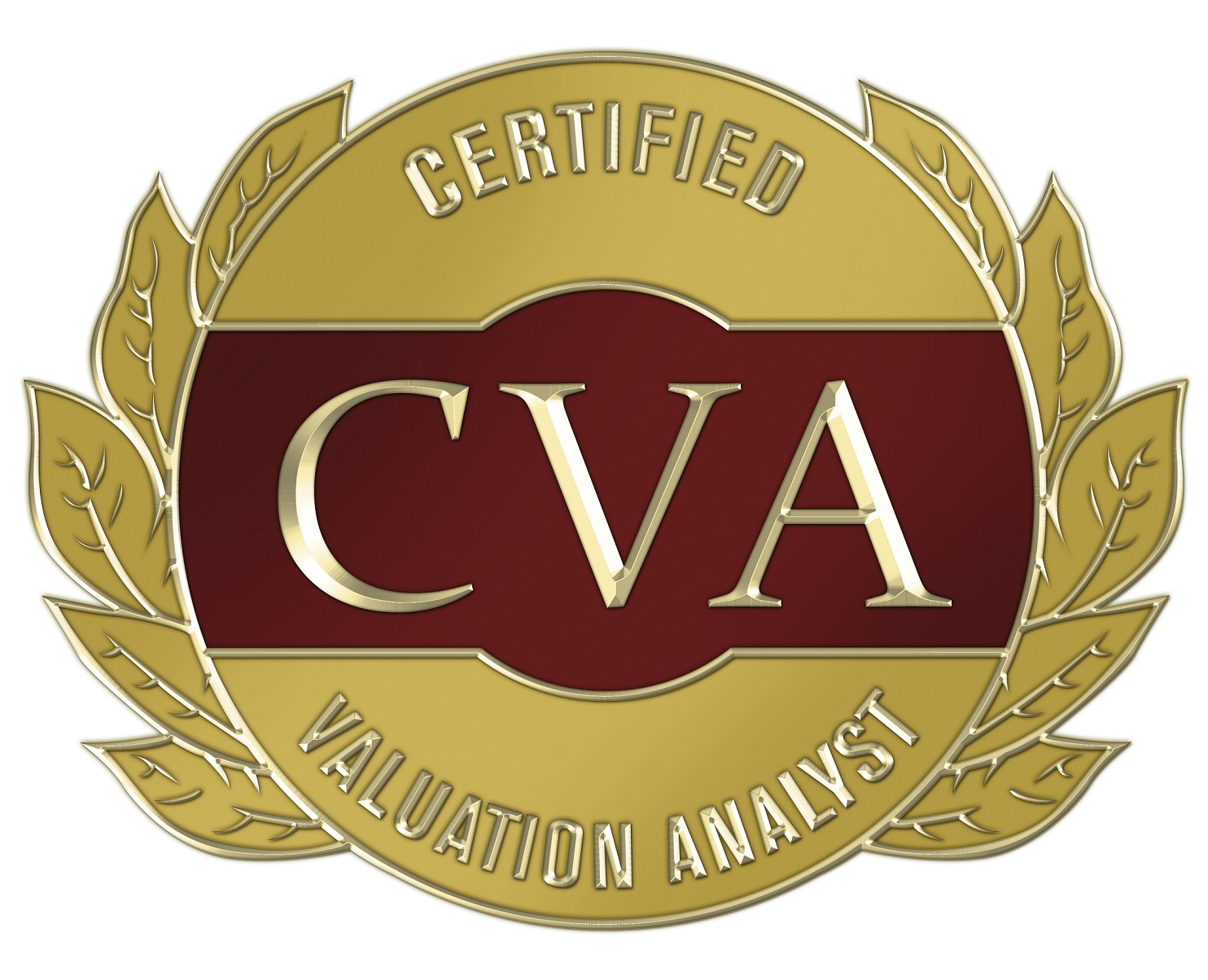Certified Valuation Analyst Training