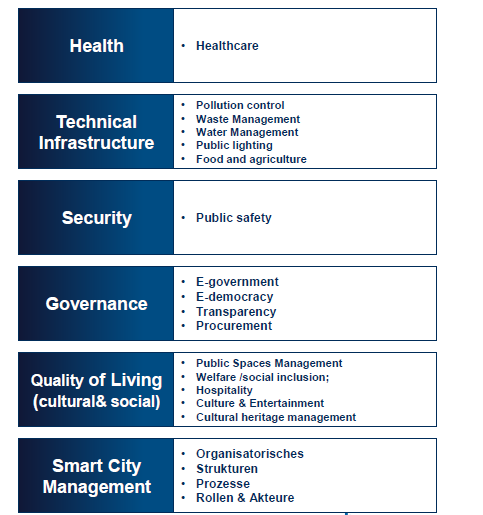 2. Smart Cities und 12 Themen-/Aktionsfelder