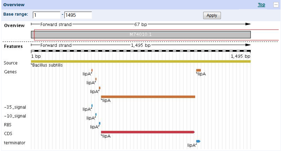 Expression von Proteinen Gene Organization/ mrna in Prokaryonten Lipase