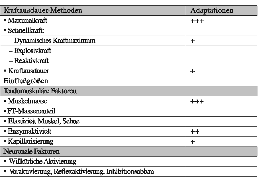 Trainingsmethoden 57 Tabelle 4: Adaptationen an die Trainingsmethoden der submaximalen Kontraktionen bis zur Erschöpfung (nach GÜLLICH & SCHMIDTBLEICHER, 1999, S.