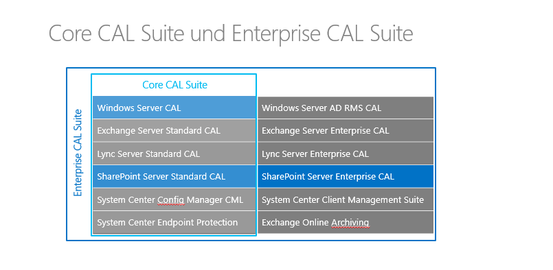 SharePoint Server CALs können einzeln oder als Bestandteil einer CAL Suite lizenziert werden.