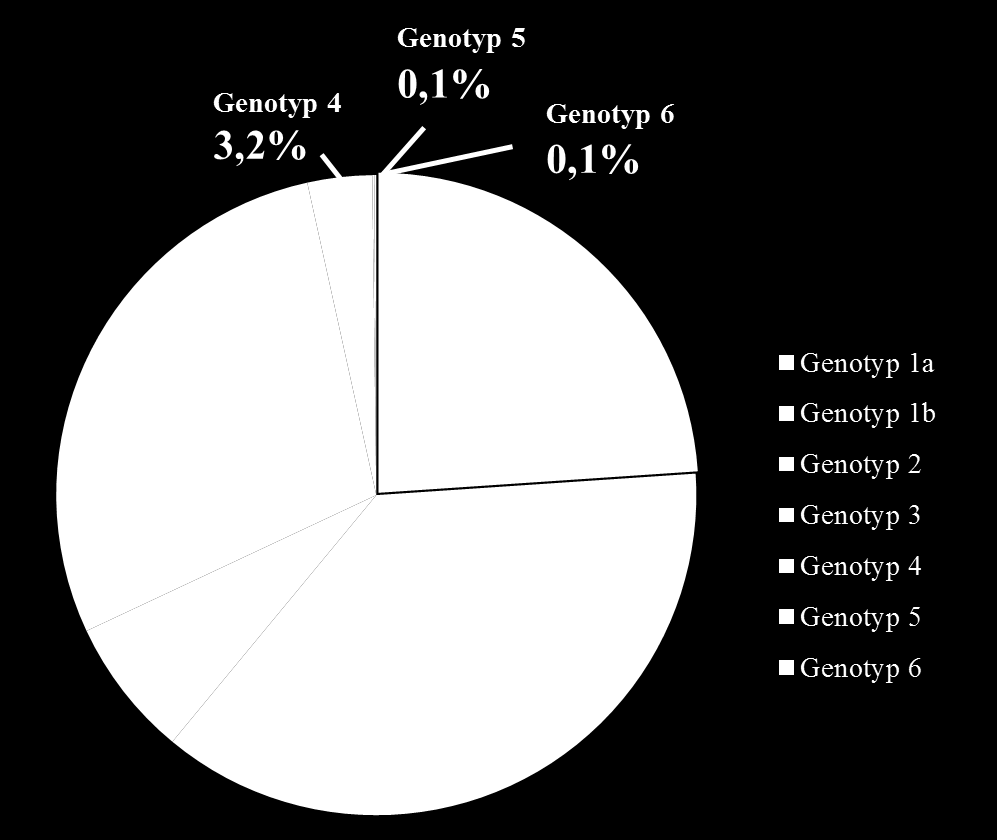Abbildung 3: Anteile der Genotypen innerhalb der chcv-infektion Quelle: modifiziert nach [7] Der Genotyp-1 kann in die Subgenotypen-1a und -1b unterteilt werden.
