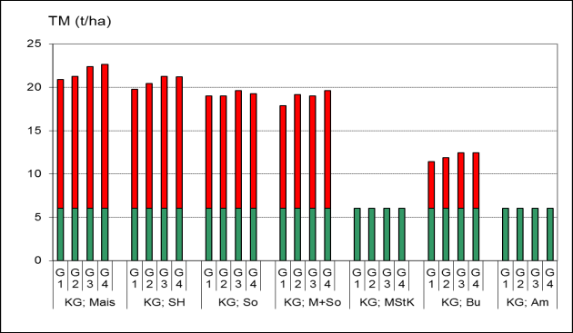 Abb. 111: TM-Ertrag (oben) und Methanertrag (unten) von dem letzten Schnitt von anderthalbjährigem Kleegras (ÖKOVERS, V2) gefolgt von den Zweitkulturen Mais, Sorghum, Sonnenblumen und Buchweizen,