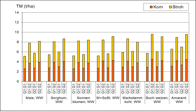 Abb. 124: TM-Ertrag von Winterweizen (Korn + Stroh) nach den Zweitkulturen Mais, Sorghum, Sonnenblumen, Mais/Sonnenblumen-Gemenge, Markstammkohl, Buchweizen und Amarant in V 1 der 1.