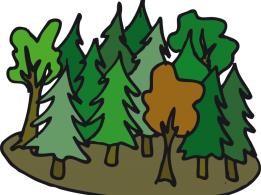 1. Unser Wald Mit dem Jagdterrier Fidel entdecken wir einheimische Wildtiere, Bäume und Pflanzen auf dem Hasselberg Termin: Sa. 01. August 2015 Treffp.