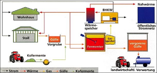 Biogas Methangasbildung Methan wird durch einen Prozess gebildet, den man in der Natur sehr oft vorfindet.
