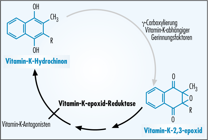 rale Antikoagulanzien vom Cumarintyp blockieren die Vitamin-K-Epoxid-Reduktase (VKR) Kemkes-Matthes B, Barthels M: rale Antikoagulanzien vom Cumarintyp.
