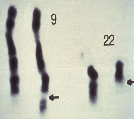 Gene Re- Sequencing Genotyping vs.