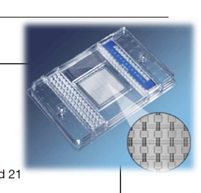Digital PCR Hahn S,