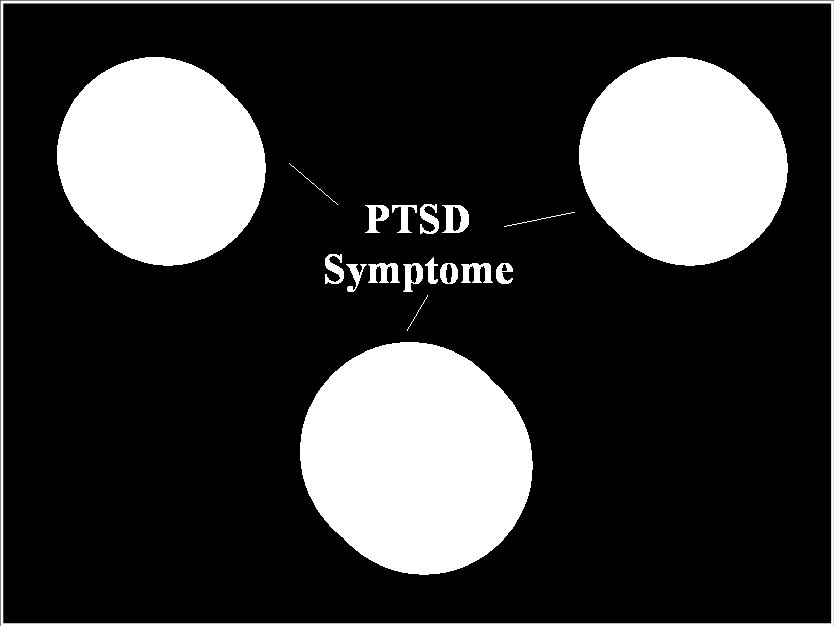 46 Stress und posttraumatischer Stress bei Feuerwehr, Rettungsdienst und Katastrophenschutz 9.2.1 Psychische Wirkungen David Pottier gliedert die Symptome in drei Kategorien (Pottier, S.1).