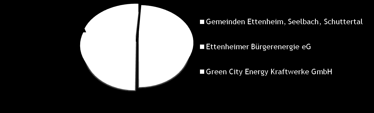 Eigentümerstruktur und Finanzierungsmodell Modellprojekt südliche Ortenau 51% bei lokalen Akteuren (Option) Benötigtes