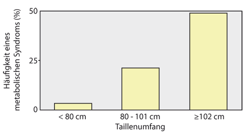 Es ist von Vorteil, neben dem BMI die waist to hip ratio (WHR, Normwert für Frauen < 0,85) zu bestimmen.