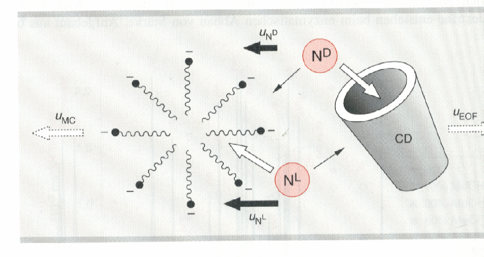 Chirale MECC neben der pseudostationären Phase wird in das Pufferssystem zusätzlich eine enantioselektive Phase (z.b. Cyclodextrine) eingebracht Abb.