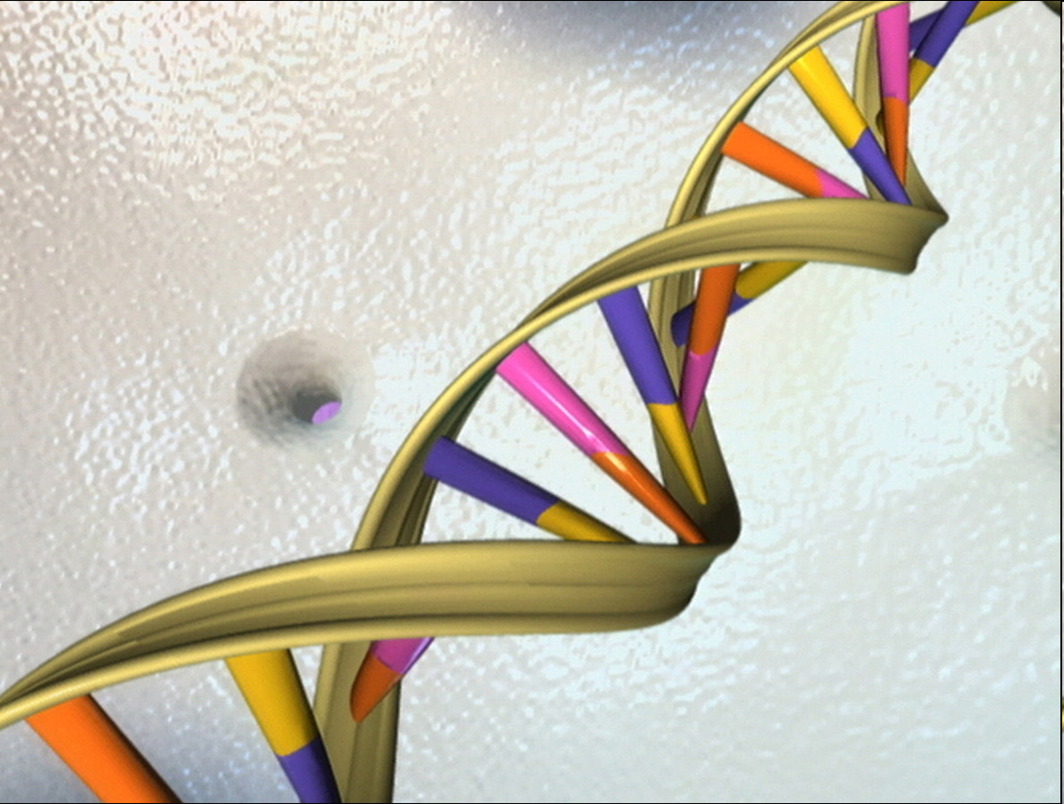 Anwendungseffizienz Life Sciences Anwendung Sequence Correlation Benchmark Human Genome Rechenzeit für das Human Genome