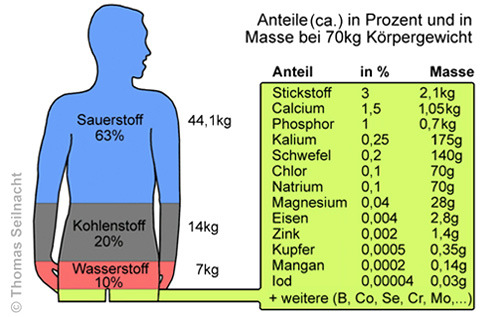 Eisen 5% Hämoglobin 35% 250 Mio/Eryhtrozyt größter Eisenanteil in den roten Blutkörperchen (Hämoglobin, Sauerstofftransport) im