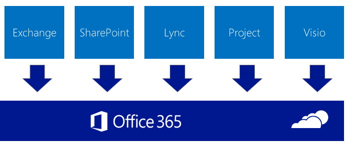 Microsoft Office 365 oder keine Auslagerung an