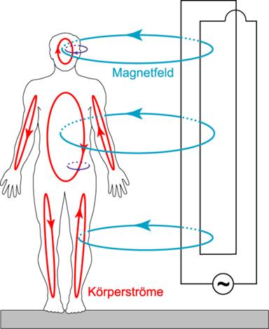 Körperströme im Menschen aus (dringt gut ein) Äußeres Elektrisches Feld (Gleich- und Wechselstrom)