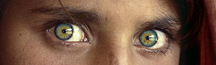 Augen Augen bündeln und fokussieren das Licht auf ein Photorezeptorepithel, die Retina = Netzhaut Bildquelle: http://www.