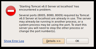 TCP/IP erlaubt nur einen Prozess pro Port.