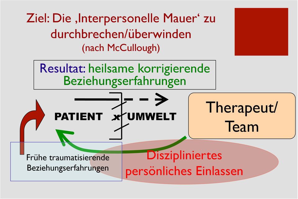 Beziehungserfahrungen PATIENT x UMWELT Therapeut/ Team Frühe