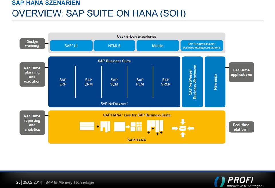 OVERVIEW: SAP