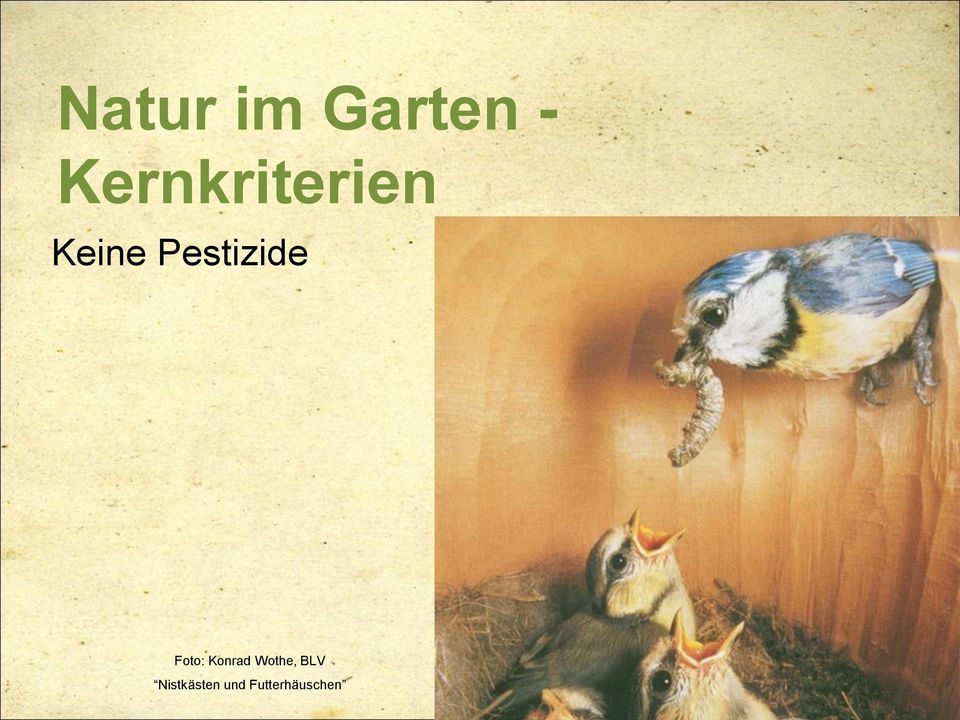 Pestizide Foto: Konrad