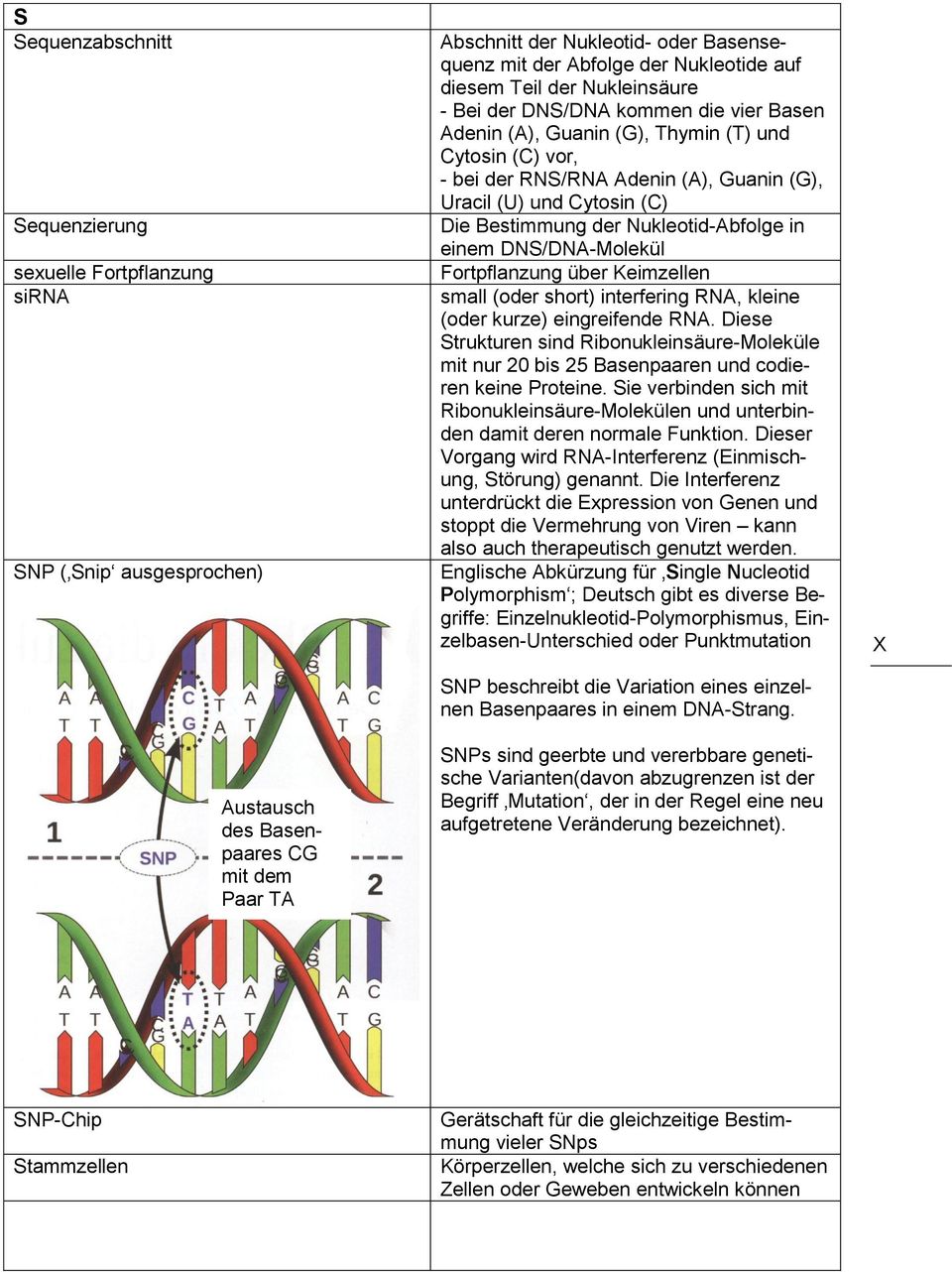 Cytosin (C) Die Bestimmung der Nukleotid-Abfolge in einem DNS/DNA-Molekül Fortpflanzung über Keimzellen small (oder short) interfering RNA, kleine (oder kurze) eingreifende RNA.