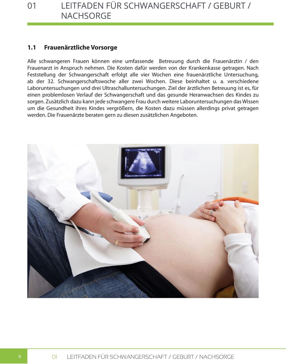 Schwangerschaftswoche aller zwei Wochen. Diese beinhaltet u. a. verschiedene Laboruntersuchungen und drei Ultraschalluntersuchungen.