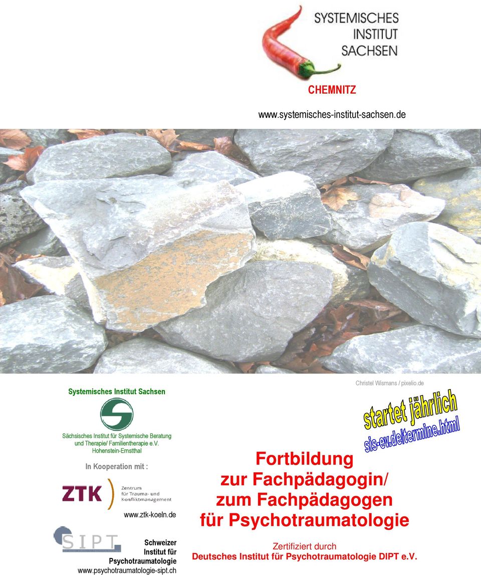 Hohenstein-Ernstthal In Kooperation mit : www.ztk-koeln.de Schweizer Institut für Psychotraumatologie www.