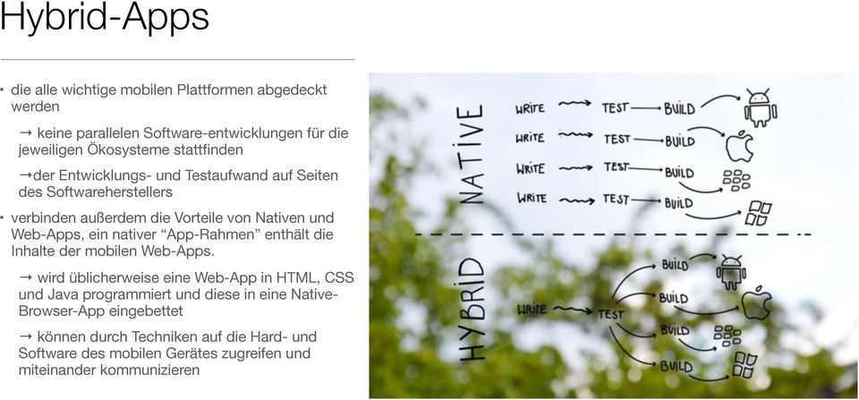 ein nativer App-Rahmen enthält die Inhalte der mobilen Web-Apps.